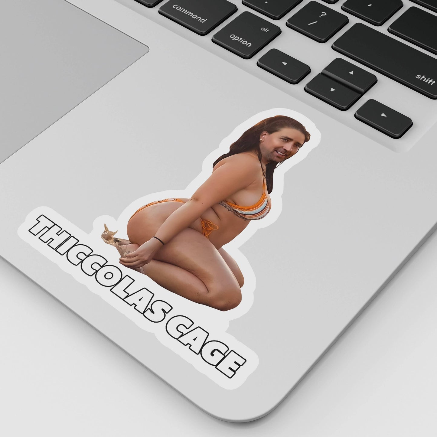 Thiccolas Cage "Thick Nicolas Cage" Funny Thicc Nicolas, Meme Sticker Parody Waterproof Vinyl Sticker for Laptop, Hydroflask, or Car